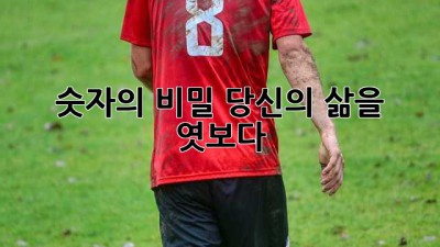 숫자의 비밀, 당신의 삶을 엿보다