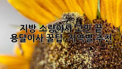 지방 소량이사 고민 끝! 📦 용달이사 꿀팁 & 지역별 추천 👍