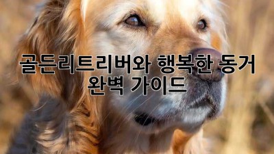 골든리트리버와 행복한 동거, 완벽 가이드